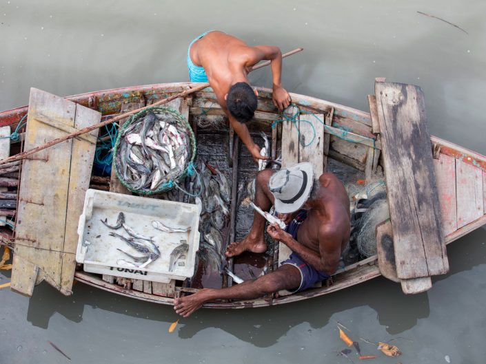 Artisanal Fishermen in Caeté-Taperaçú Marine Extractive Reserve