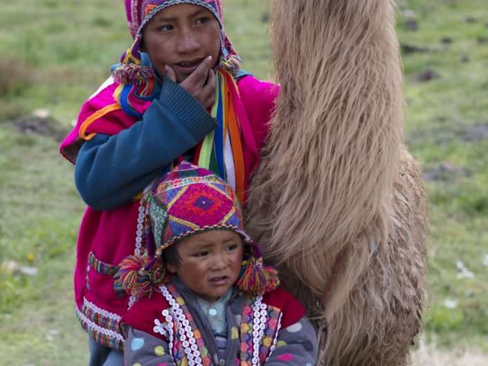 Crianças Perunas e Lhama