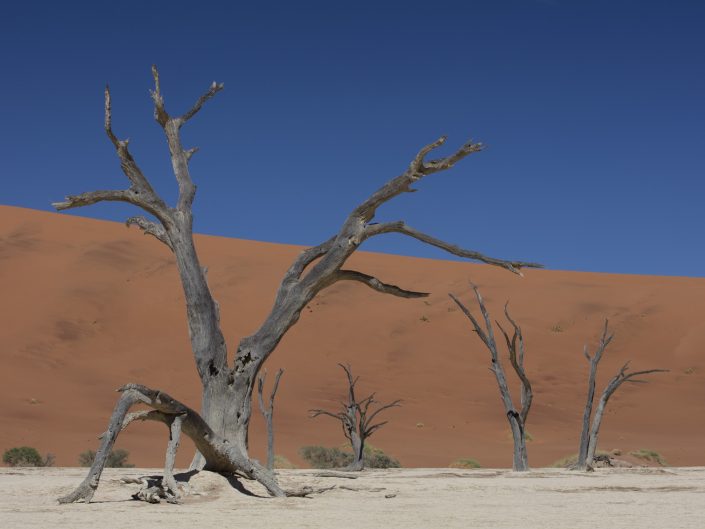 Death Valley