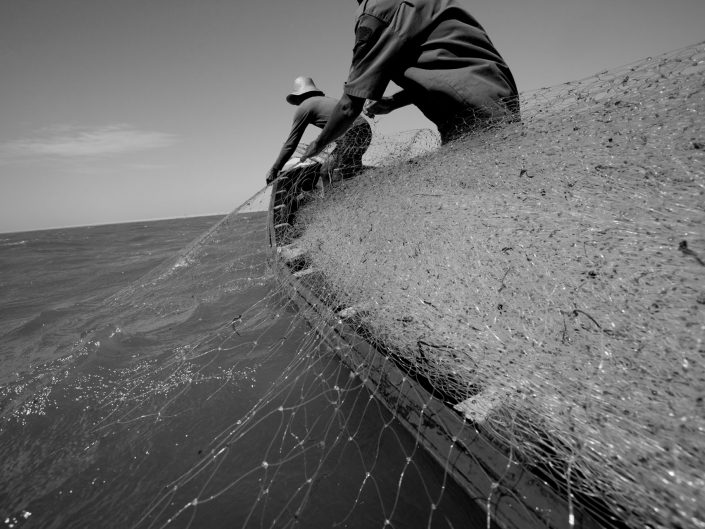Pesca de Rede Caçoeira de Robalo