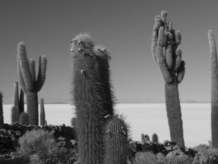 Salar de Uyuni